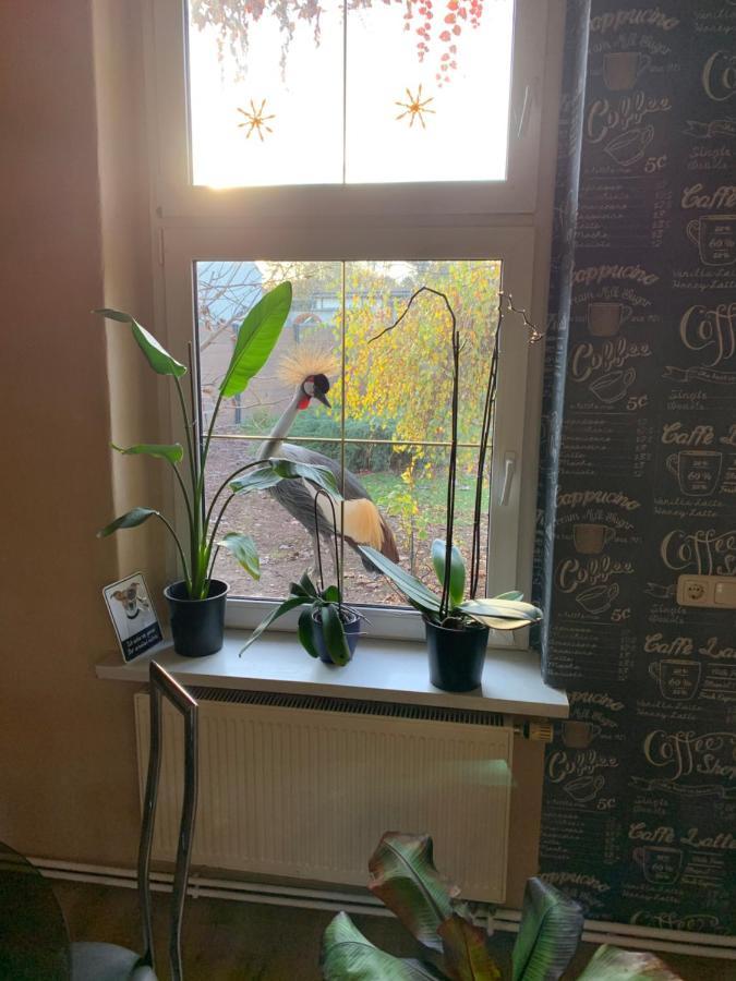 Yourhome-Pm ミッヒェルドルフ エクステリア 写真